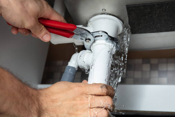 Best Mold removal after water damage  in Sedona, AZ