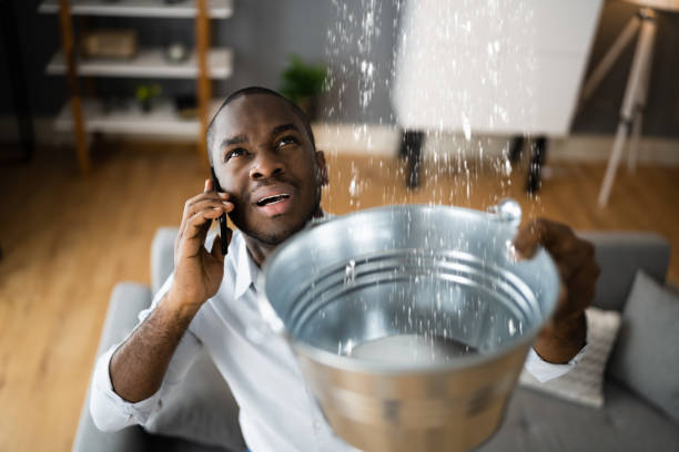 Best Water damage restoration near me  in Sedona, AZ