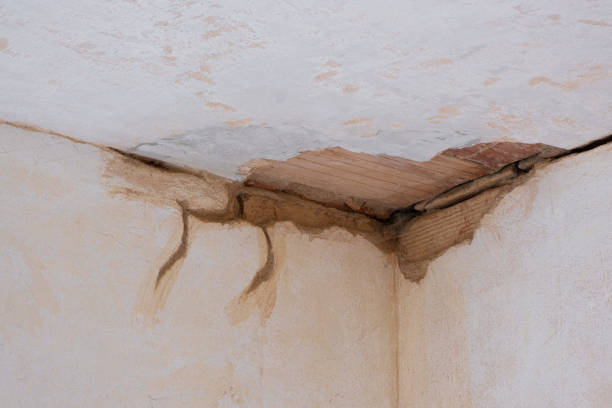 Best Residential water damage restoration  in Sedona, AZ