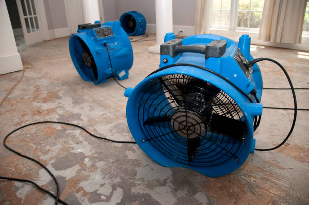 Best Professional water damage repair  in Sedona, AZ