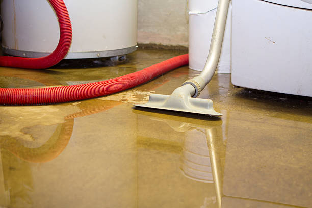 Best Flood restoration services  in Sedona, AZ