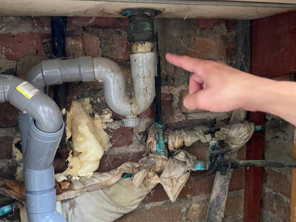 Best Water damage mitigation services  in Sedona, AZ