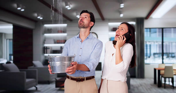 Best Basement water damage restoration  in Sedona, AZ