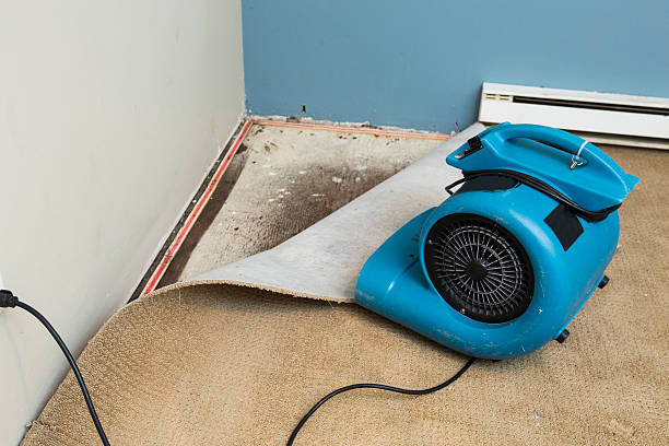 Best 24/7 water damage repair  in Sedona, AZ